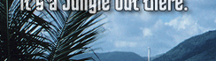 www.traveljungle.co.uk